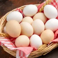 تخم مرغ خانگی ارسال رایگان