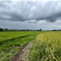 فروش زمین باغی و زراعی