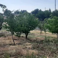 باغچه ۱۰۰۰متری خانزنیان سادات اباد|فروش دفتر صنعتی، کشاورزی، تجاری|شیراز, بازار|دیوار