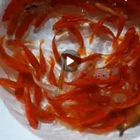 فروش کلی و جزئی ماهی قرمز عید و کوی