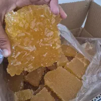 نبات قیمت مناسب