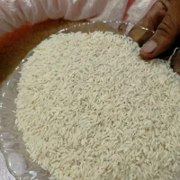 برنج هاشمی آستانه
