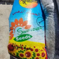 تخمه