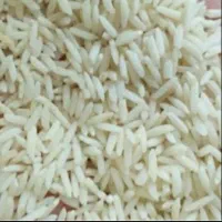 برنج محلی بروجرد و دورود و سیلاخور