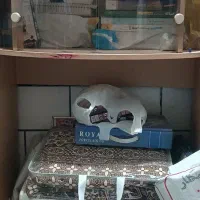 به دلیل جابجایی به ثواب داده میشود( دکور سه تیکه )