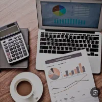 حسابدار حرفه ای اقا