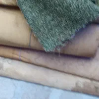 موکت|موکت|اسکو, |دیوار