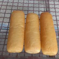 به چند نفر نیروی مرد برای شیفت شب نیازمندیم