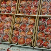 راننده نیسان نیازمندم