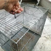 قفس غلامی سایز 3