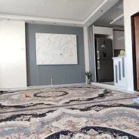 دوعدد فرش ۹متری ۷۰۰شانه