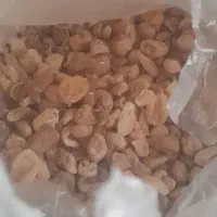 ثعلب وشیرین بیان