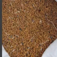 نخود قرمز