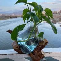 گلدان دفرمه ترکیب چوب و شیشه