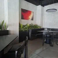 نیروی خانم