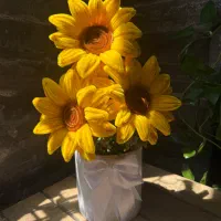 گلدون افتاب گردان