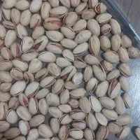 پسته|خوردنی و آشامیدنی|کشکوئیه, |دیوار