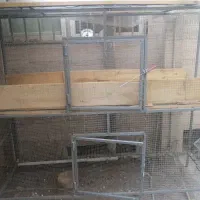 قفس مرغ و خروس کبوتر پرنده و....