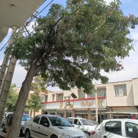 زمین-سنگ-شکن-فارسان-معاوضه