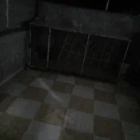قفس آهنی