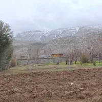 زمین-سند-تک-برگ-دار