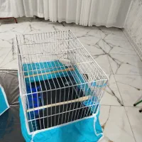 قفس پرنده درحد