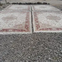 قالی شویی زرین