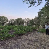 فروش-خونه-باغ-در-فاصله-کمتر-از-یک-ساعت-تا-قم