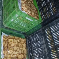 میوه خشک گلابی خشک و کیوی خشک و دمنوش تناژ موجوده