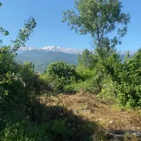 زمین مسکونی در رحیم آباد کلاچای نزدیک دریا جنگل