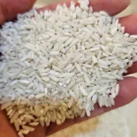 فروش لاشه و نیم دانه و قلوه با قیمت خوب و عمده