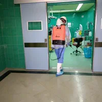 سمپاشی تخصص سوسک ساس 100%تضمین سم پاشی موریانه موش