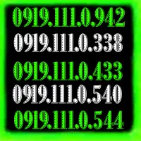 0919.111.0.433