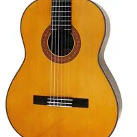 تدریس خصوصی گیتار