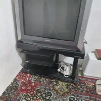 تلوزیون