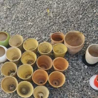 گلدان|گل و گیاه طبیعی|رشت, پیرکلاچای|دیوار