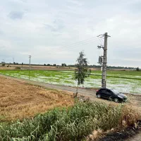 11هکتار-باچاه-آب-سندتک-برگ-گرگان