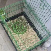 300 (خرگوش)|موش و خرگوش|تهران, تهرانپارس شرقی|دیوار