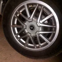 رینگ خرچنگی۱۵ معاوضعه با پنج پر