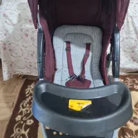 کالسکه|کالسکه و لوازم جانبی|مراغه, |دیوار