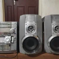 ظبط