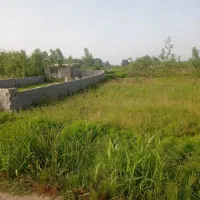 زمین باغی بر آسفالت