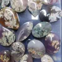 شکوفه بهاری  سوسنی  عسلی  قیمت فقط ۳۱۵ هزار تومان