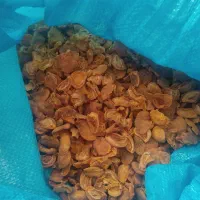 قیسی محلی تازه