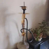 قیلیون درحد نو