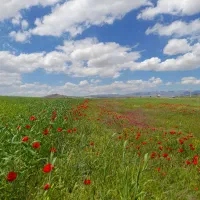 زمین ویلایی بیلوردی تمام اقساط بدون پیش پرداخت