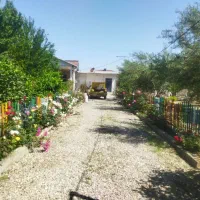 اجاره ویلاوسوییت