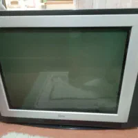 تلویزیون
