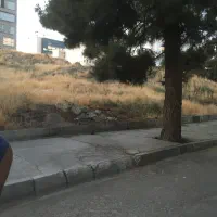 مشارکت صادقیه فلکه اول  ۲۵۰۰ زمین