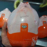 ایجاد شغل و سرمایه گذاری با بازده سود بالا وضمانتی